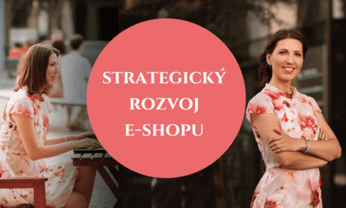 Strategický rozvoj e-shopu