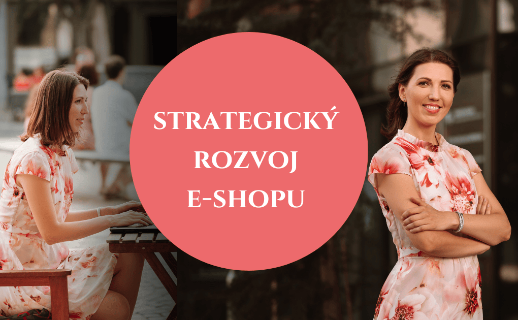 Strategicky rozvoj e-shopu - Gabi Krolakova