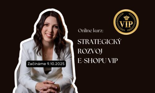 Strategický rozvoj e-shopu VIP