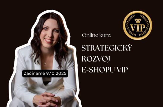 Strategický rozvoj e-shopu VIP